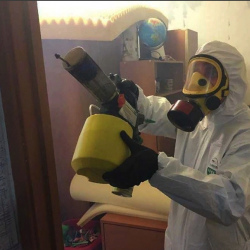Уничтожение клопов в квартире. Цивильск